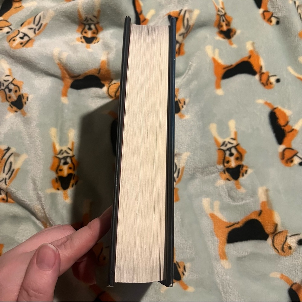 Straight On Till Morning A Twisted Tale by Liz Braswell - Picture 3 of 14